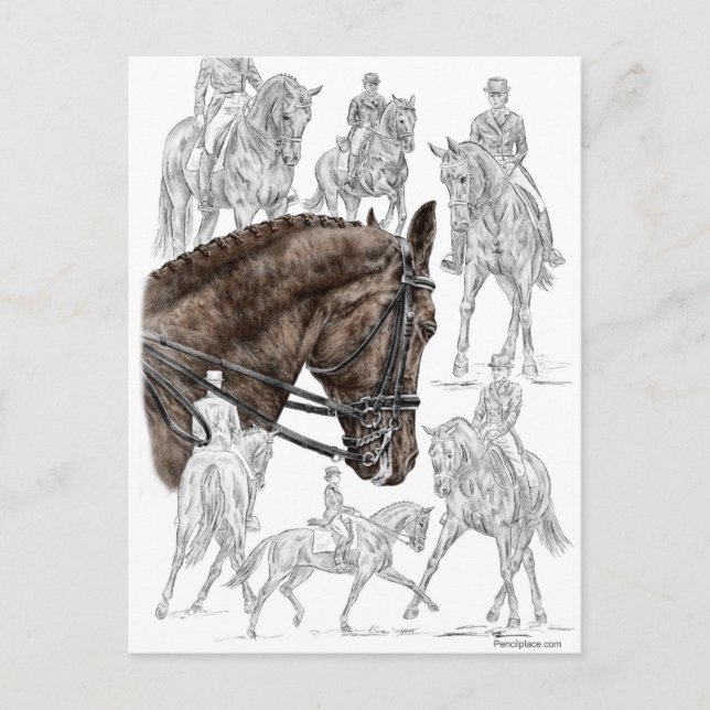 Collected Dressage Horses FEI Postcard (Front)