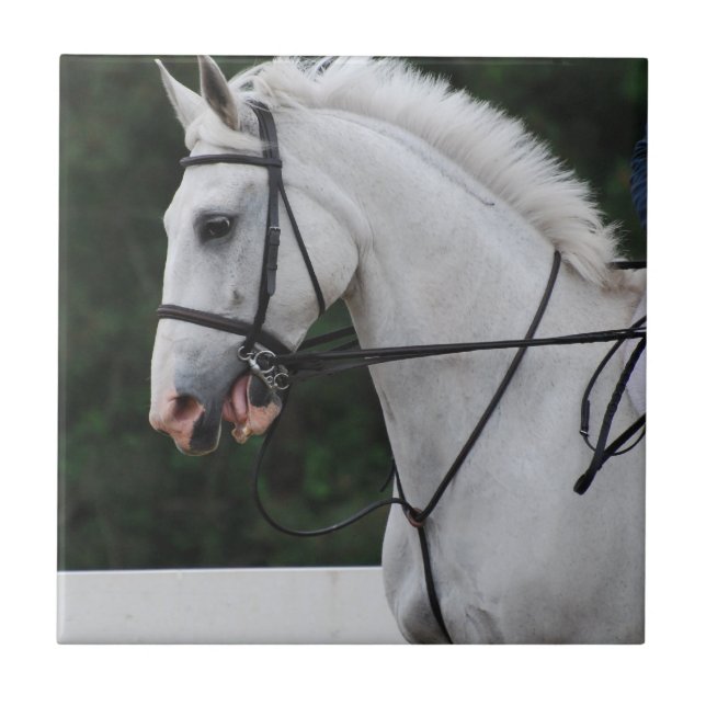 Collected White Horse Tile (Front)