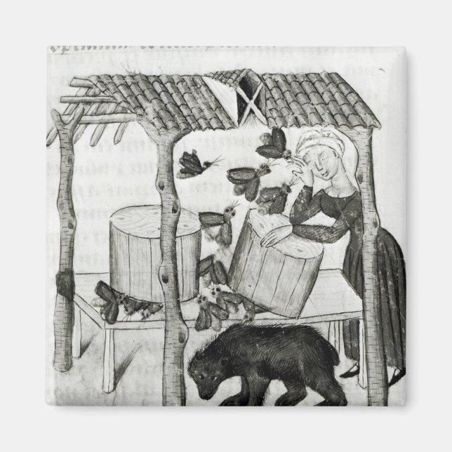 Collecting Honey Magnet (Front)