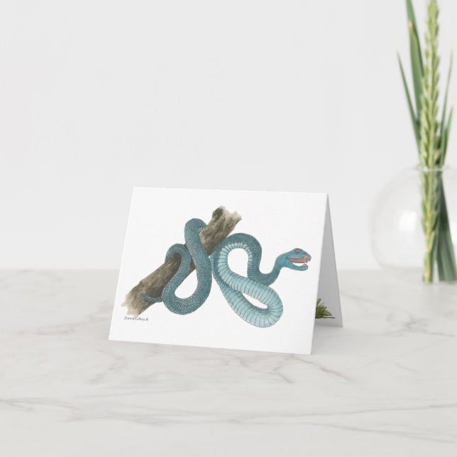 Collection Austrailian  snake Note Card (Front)