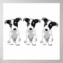 Collection Design Roseplatine®