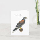 Collection Falcon  Note Card