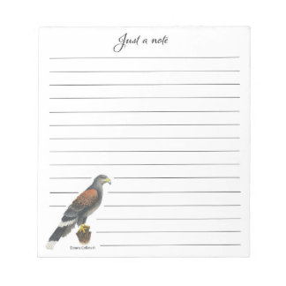 Collection Falcon Note Pad