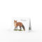 Collection Fox Note Card
