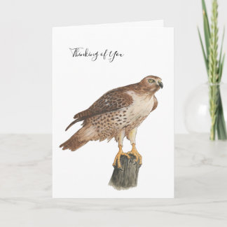 Collection Hawk Note Card