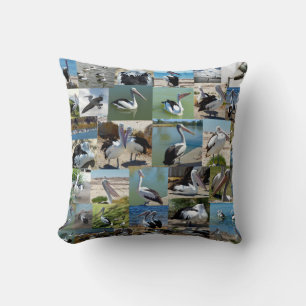 Collection Of Pelicans In A Photo Collage, Cushion