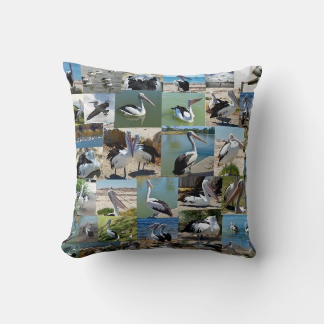 Collection Of Pelicans In A Photo Collage, Cushion (Front)