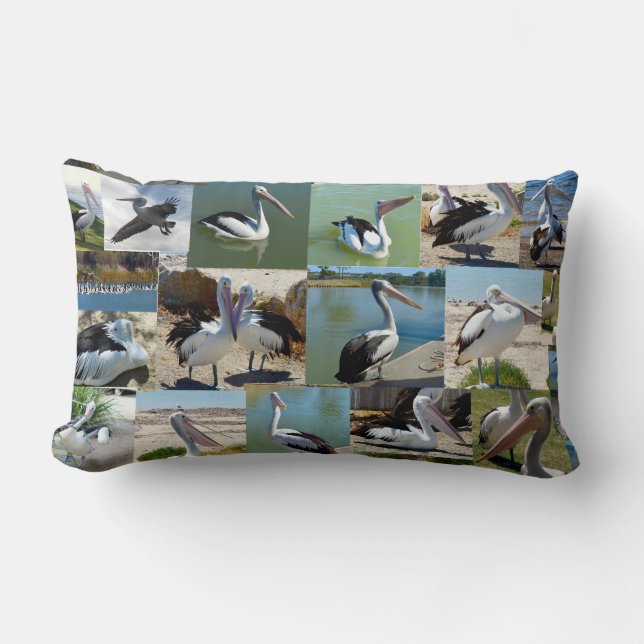 Collection Of Pelicans In A Photo Collage, Lumbar Cushion (Front)