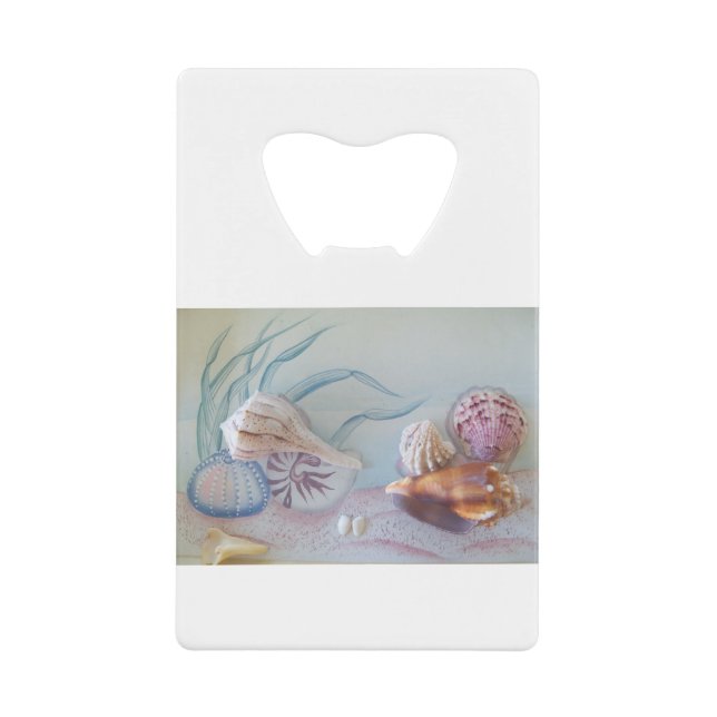 Collection of Seashells (Front)