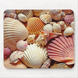 Collection of Seashells Scallops Clams and Conch Mouse Pad