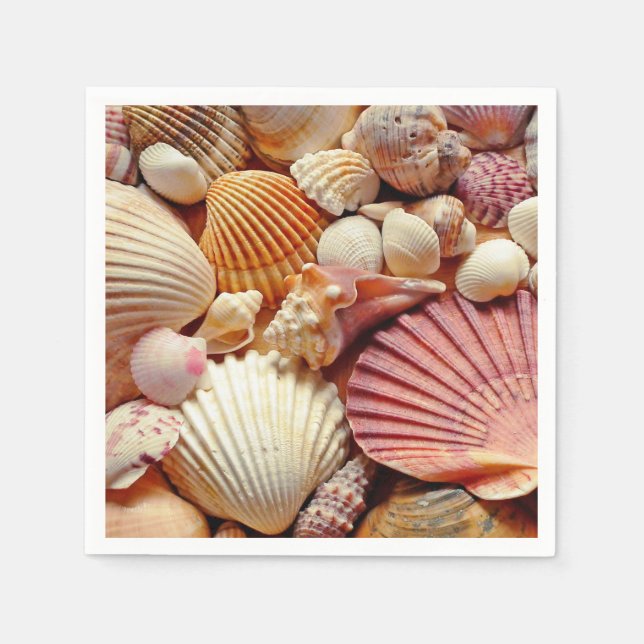 Collection of Seashells Scallops Clams and Conch Napkin (Front)