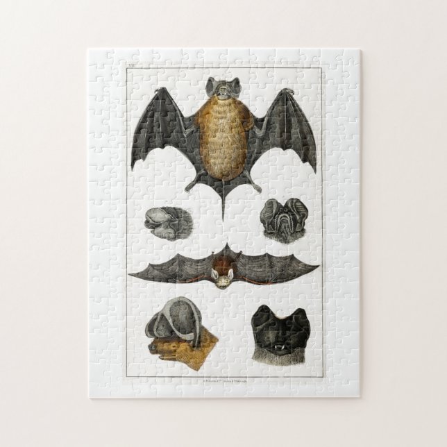 Collection of various Bats Jigsaw Puzzle (Vertical)