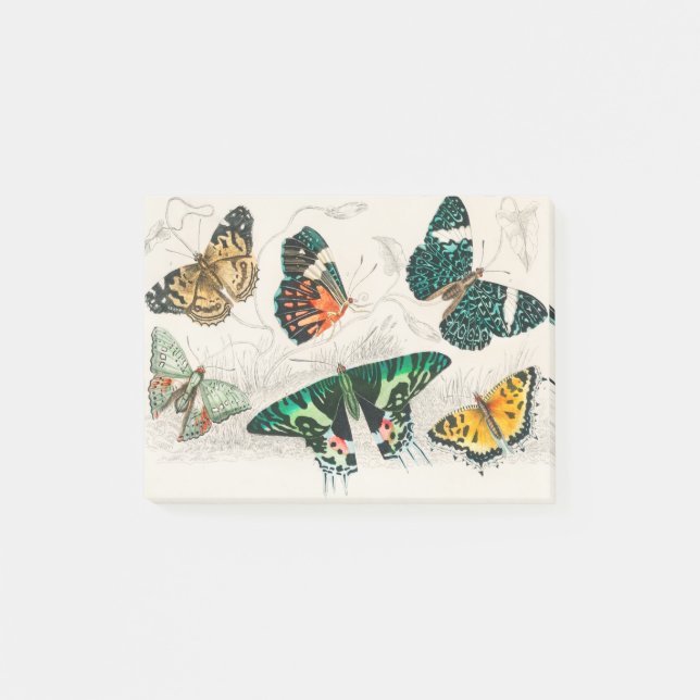 Collection of Various Butterflies Post-it Notes (Front)