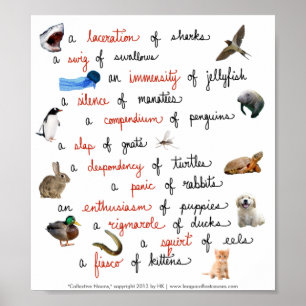 Collective Nouns: posters
