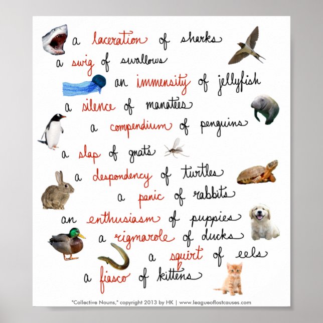Collective Nouns: posters (Front)