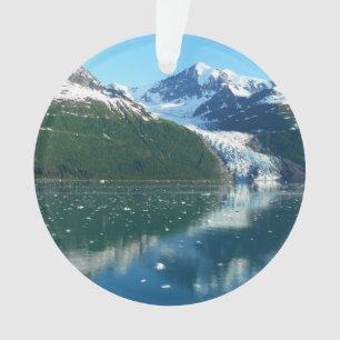 College Fjord I Beautiful Alaska Photography Ornament