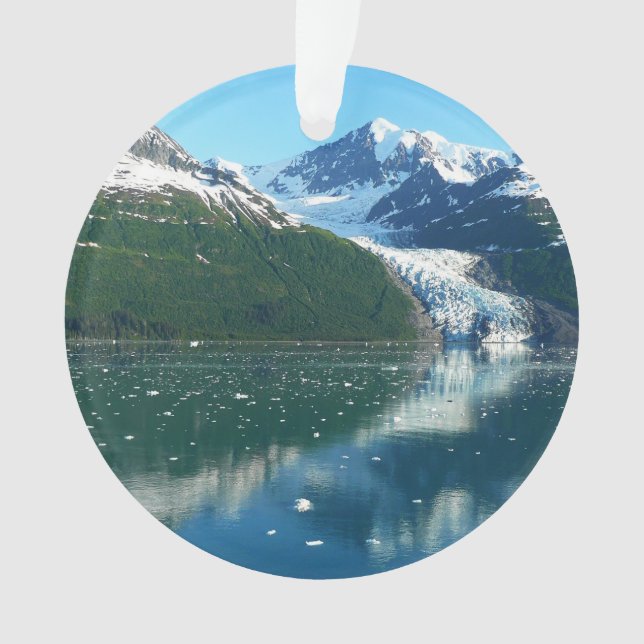 College Fjord I Beautiful Alaska Photography Ornament (Front)