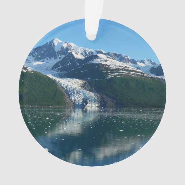 College Fjord II Beautiful Alaska Photography Ornament (Front)
