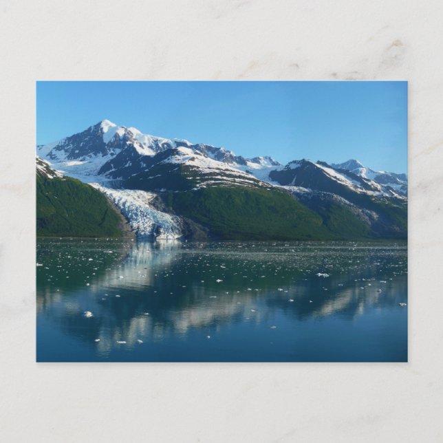 College Fjord II Beautiful Alaska Photography Postcard (Front)