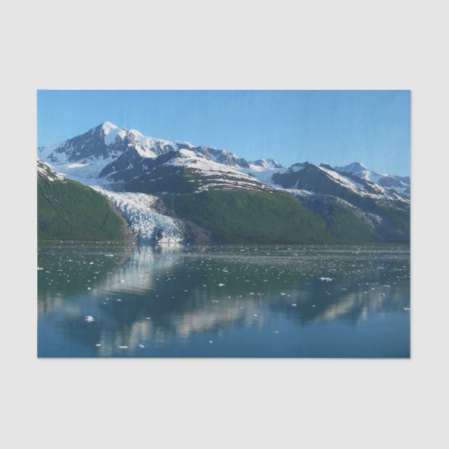 College Fjord II Beautiful Alaska Photography Tissue Paper (Front)