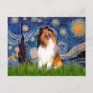 Collie 1 - Starry Night Postcard
