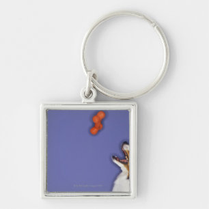 Collie catching plastic bone key ring