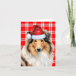 Collie Christmas Dog Red Plaid Christmas Holiday Card