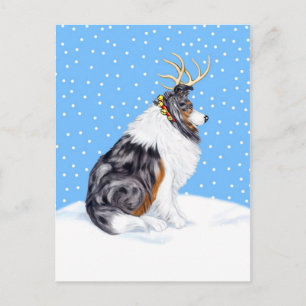 Collie Christmas Reindeer Blue Merle Holiday Postcard
