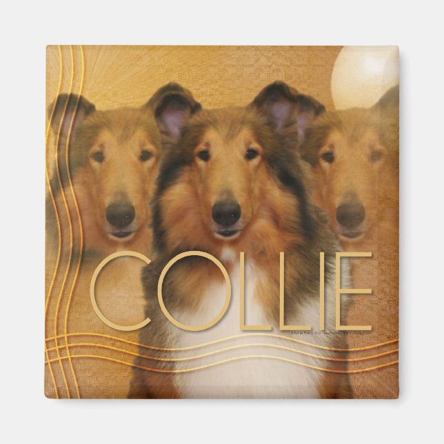 Collie Crescent Moon Magnet (Front)