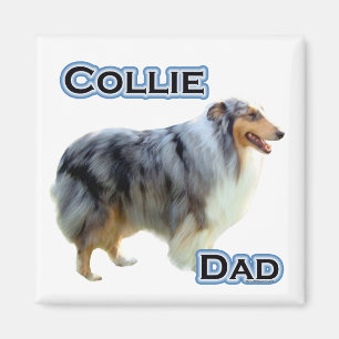 Collie Dad 4 - Magnet