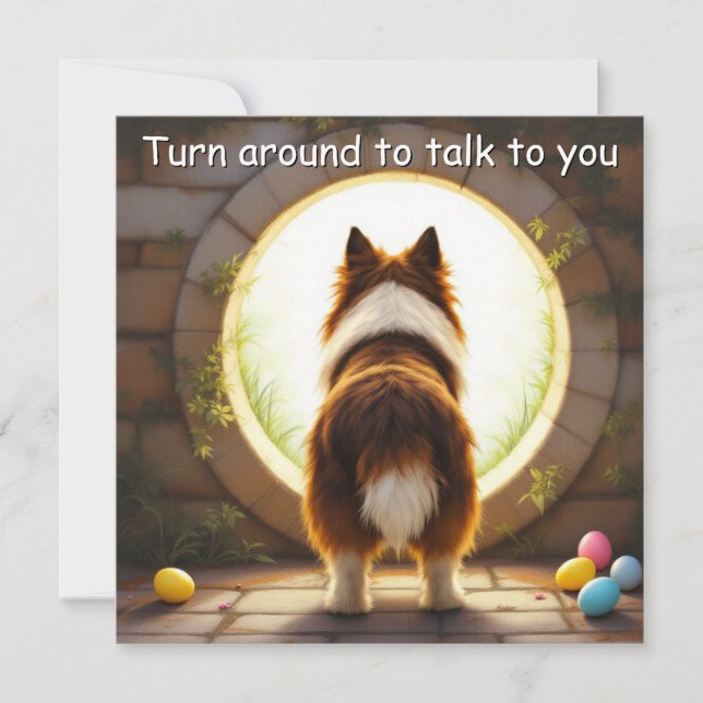 Collie dog - Easter  Holiday Card (Front)