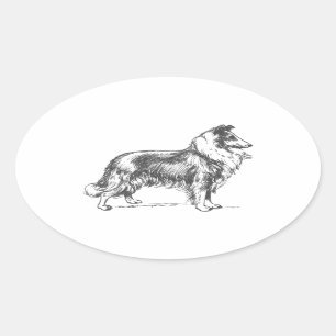 Collie Dog Oval Sticker