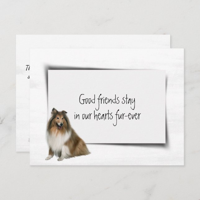 Collie Dog Pet Sympathy Loss Postcard (Front/Back)