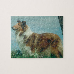 Collie Dog Puzzle