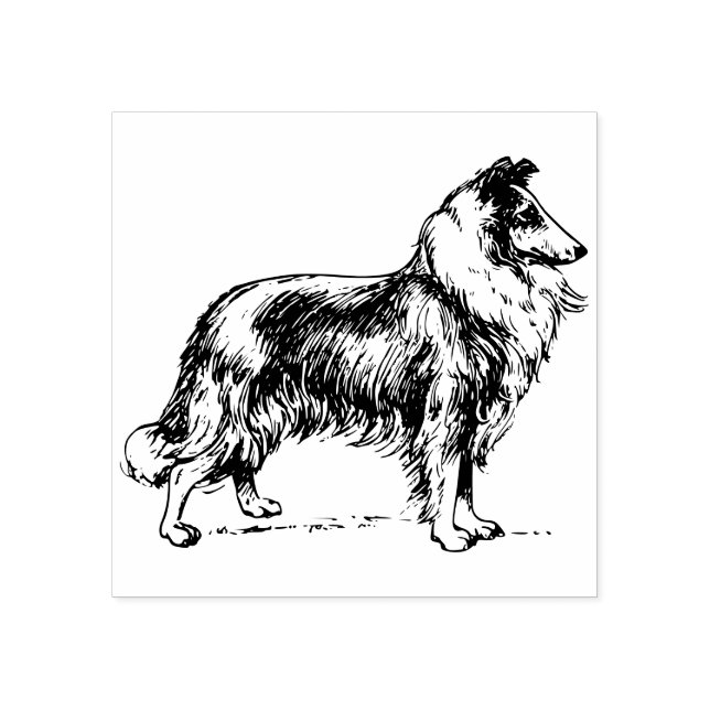 Collie dog rubber stamp (Imprint)
