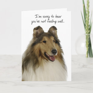 Collie Get Well Card