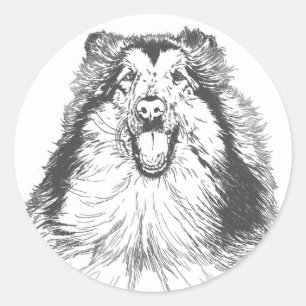 Collie Head Study Art Classic Round Sticker