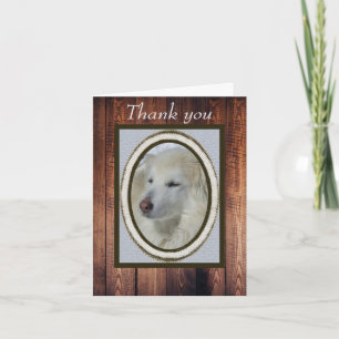 Collie/Husky Photo & Wood-look Thank You Blank Card