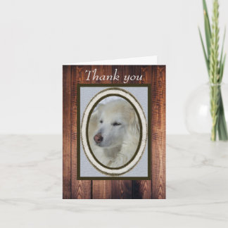 Collie/Husky Photo & Wood Thank You Blank  Card