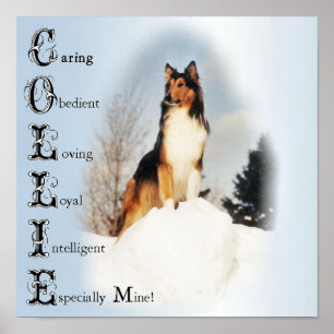 Collie Is... Rough Collie Art Poster