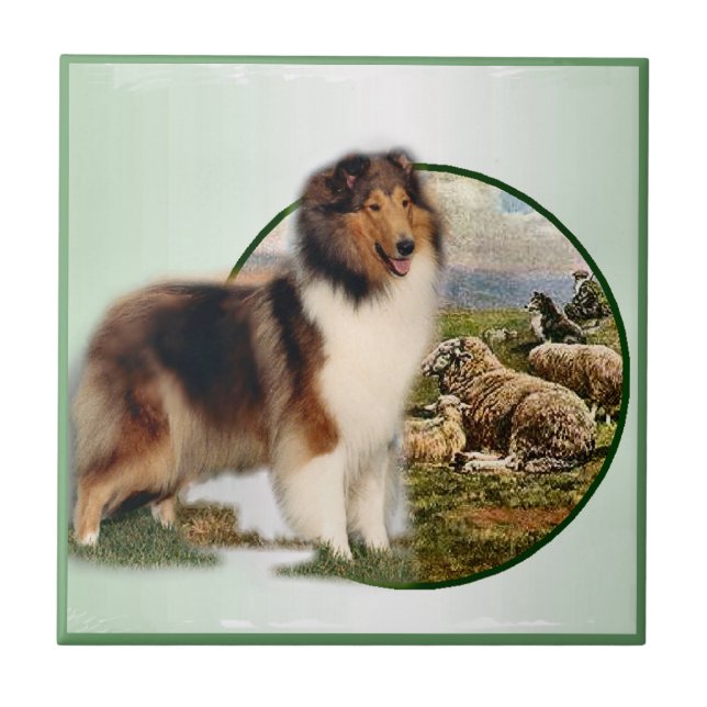 Collie Keeper of the Sheep Ceramic Tile (Front)