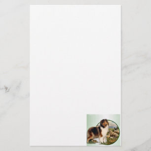 Collie Keeper of the Sheep Stationery
