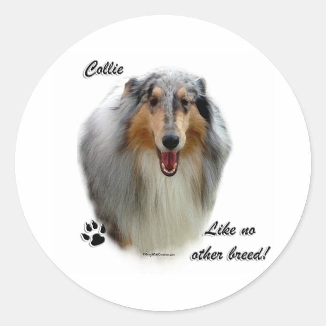 Collie Like No Other Breed - Sticker (Front)