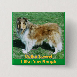 Collie Lover!I like 'em Rough 15 Cm Square Badge