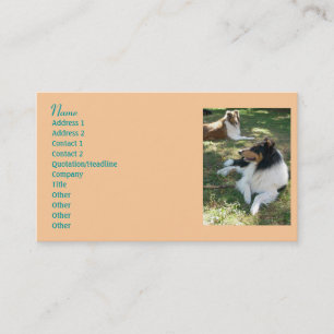 Collie Lovers Business Cards 2