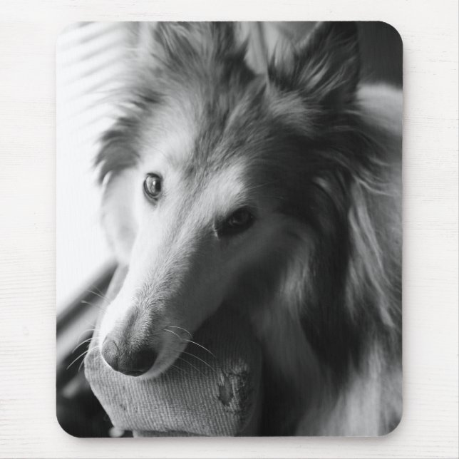 Collie Mouse Pad (Front)