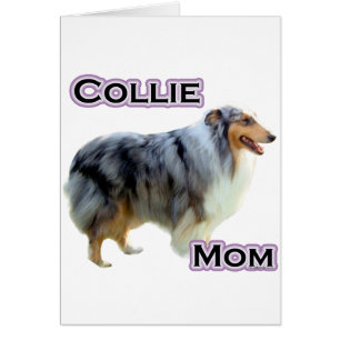 Collie Mum 4