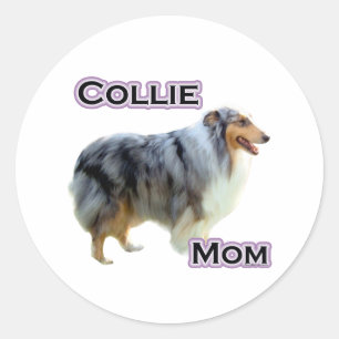 Collie Mum 4 - Sticker