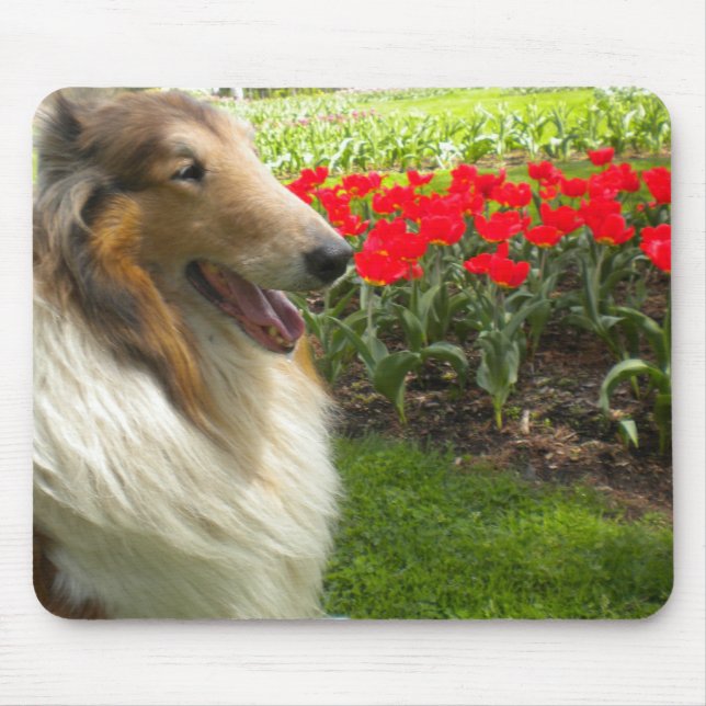 Collie n the Tulips Mouse Pad (Front)