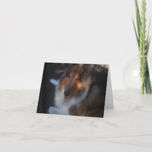 Collie note card
